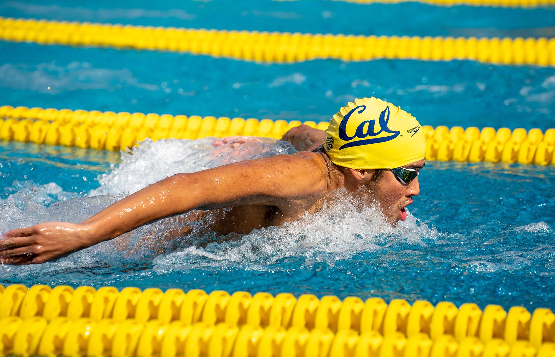 NCAA sneak peek: Cal men’s swim to face nation’s best at Minnesota Invitational