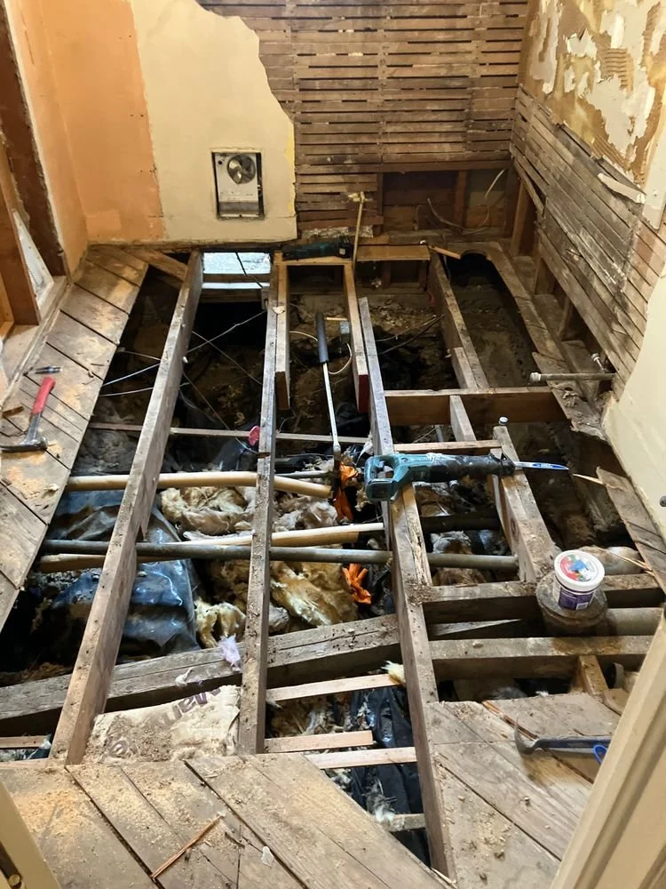 SPB Total Bathroom Remodel Down to the Bones.jpg