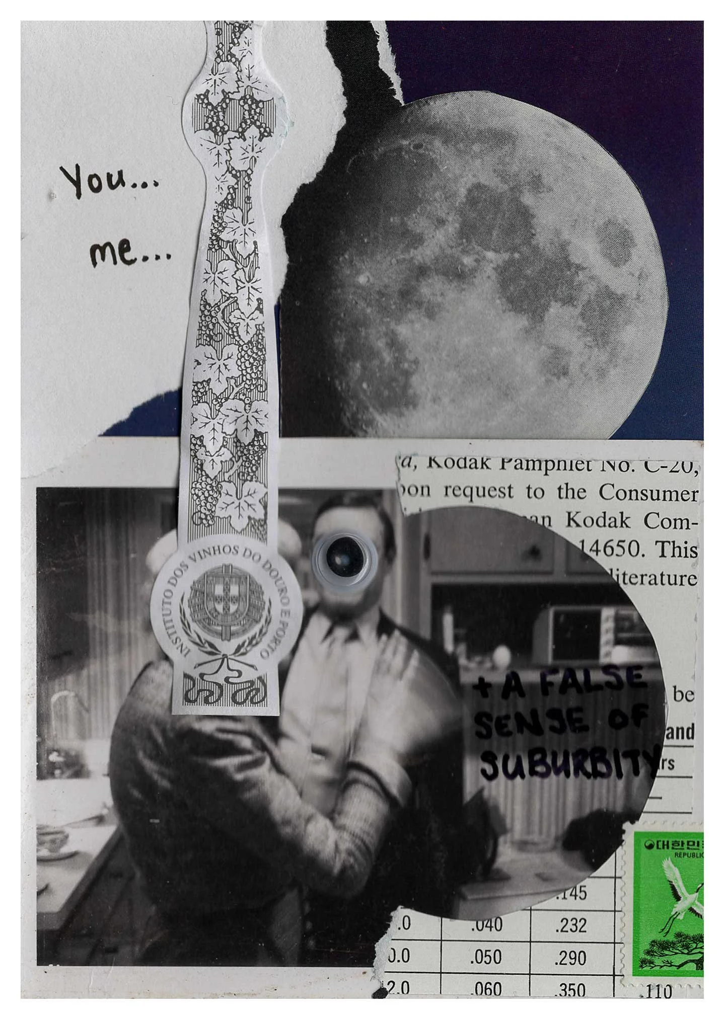 lizend_collage_suburbity.jpg