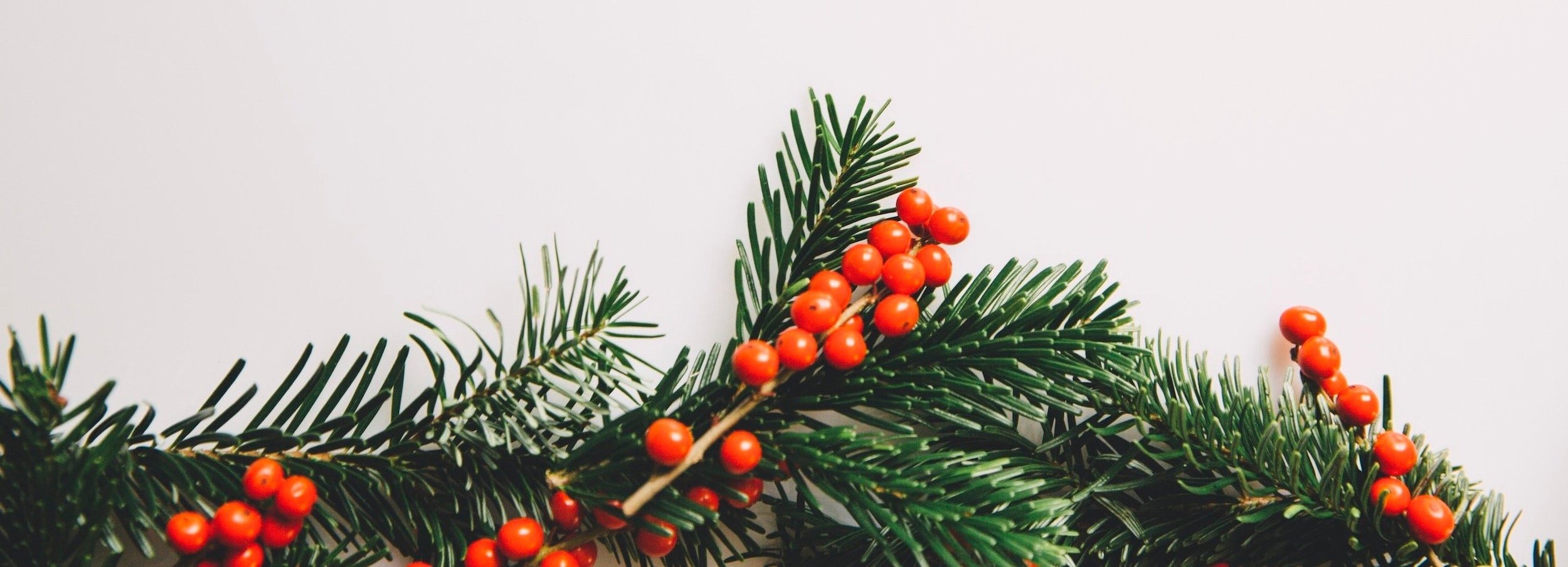 Staying healthy these holidays!