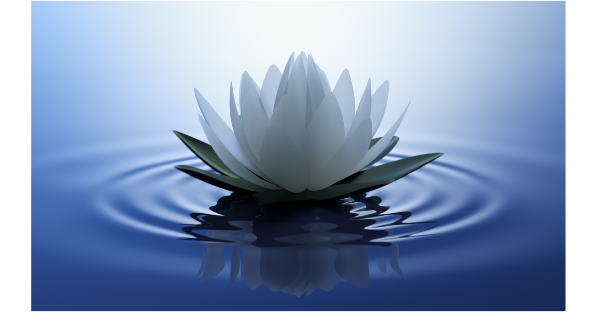 Hatha Yoga: Opening to the New Year