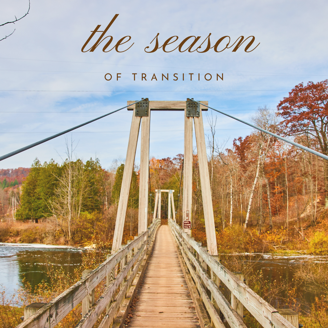 The Season of Transition