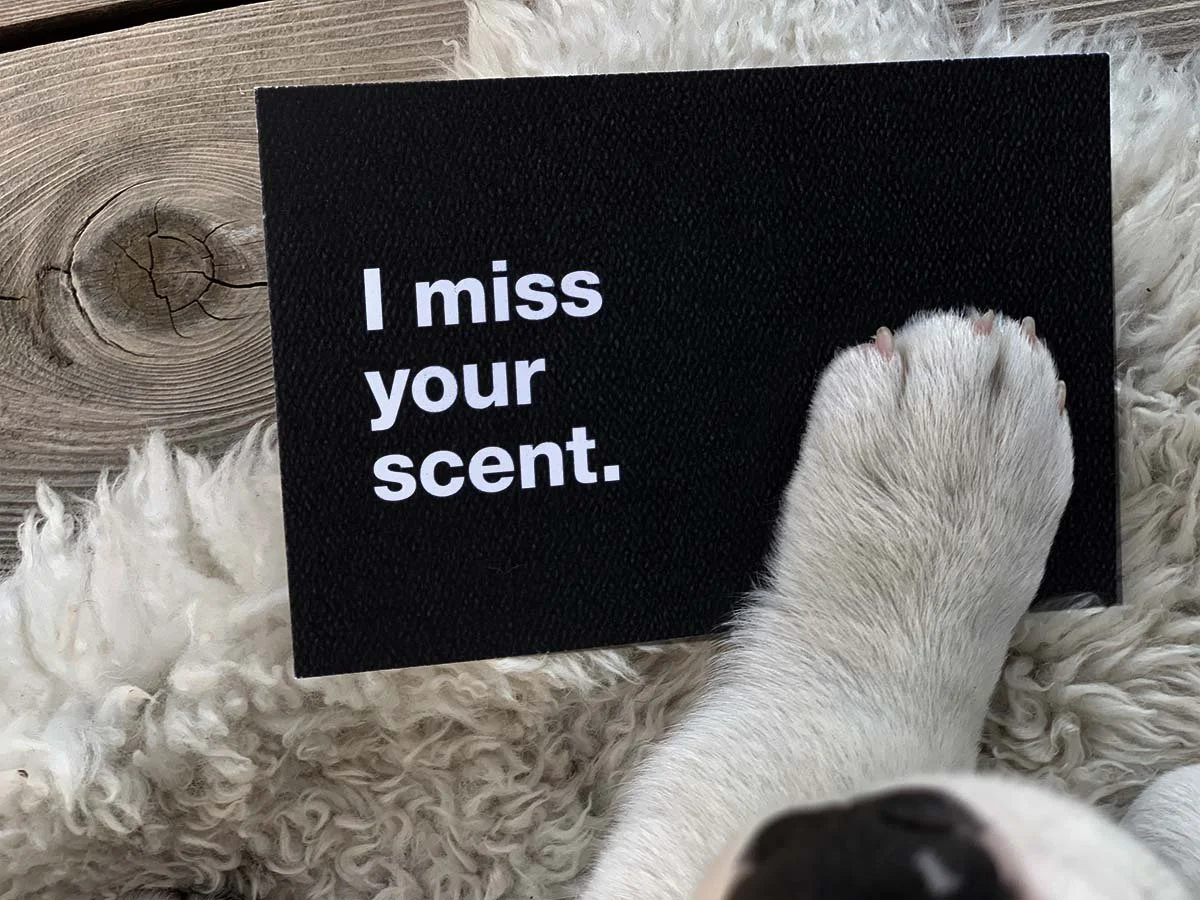 imissyourscent.jpg