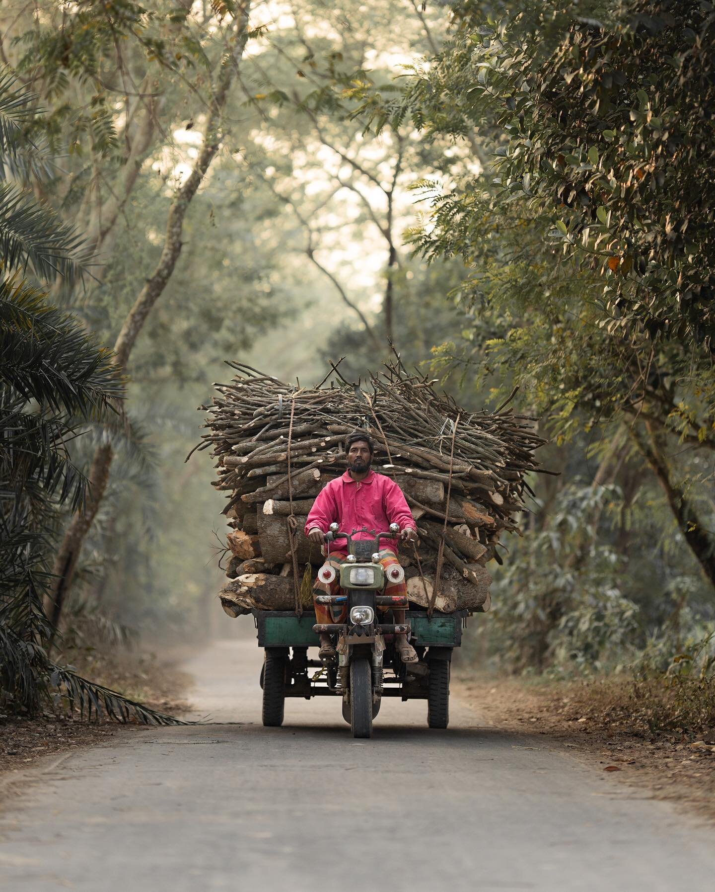 The wood-man

#bangladesh