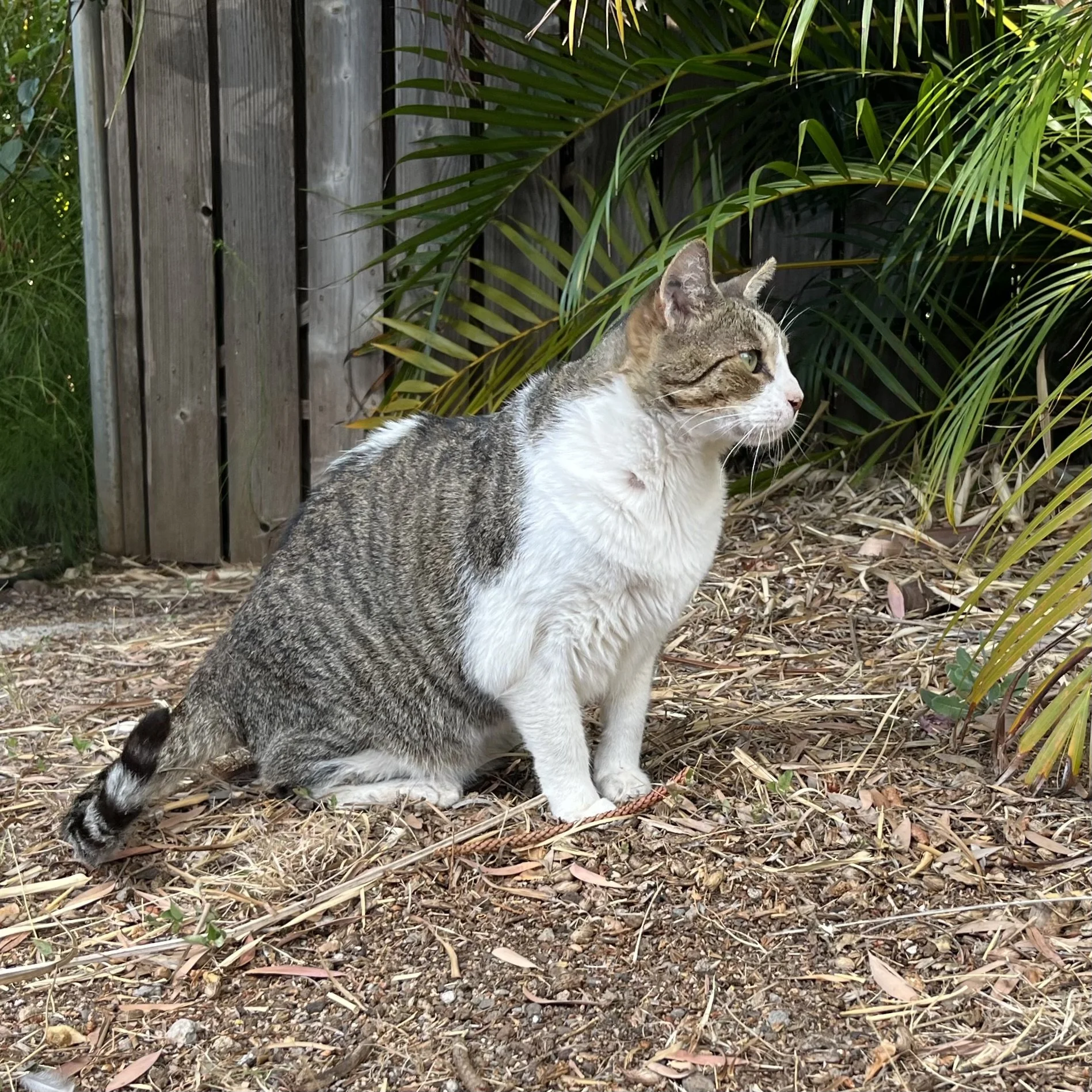 IMG_3810.jpeg