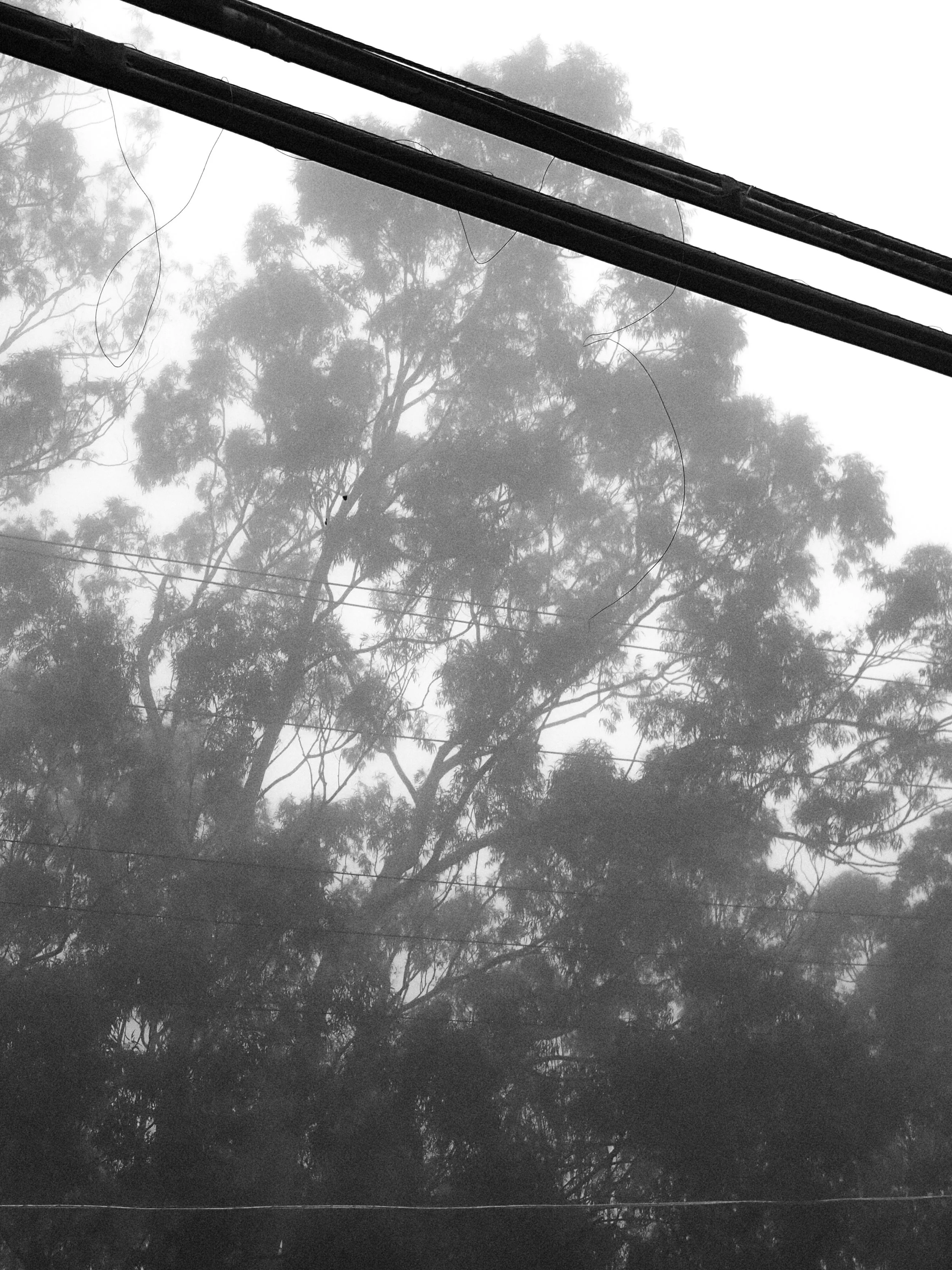 P2070761.JPG