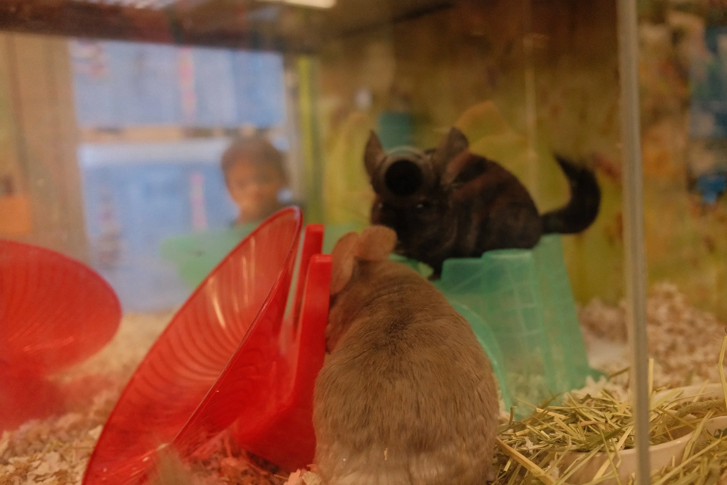 DSCF1225.JPG