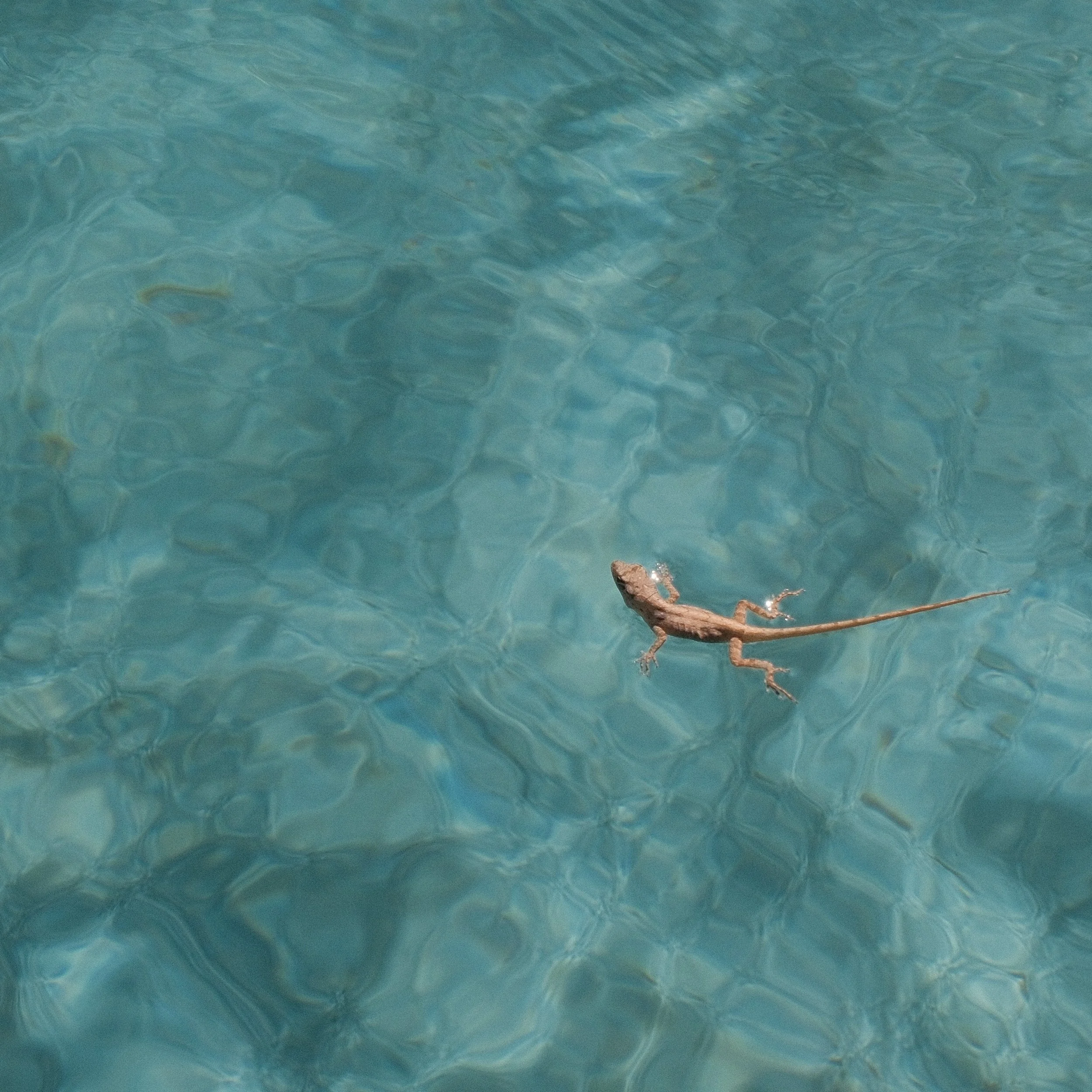 DSCF1251.JPG