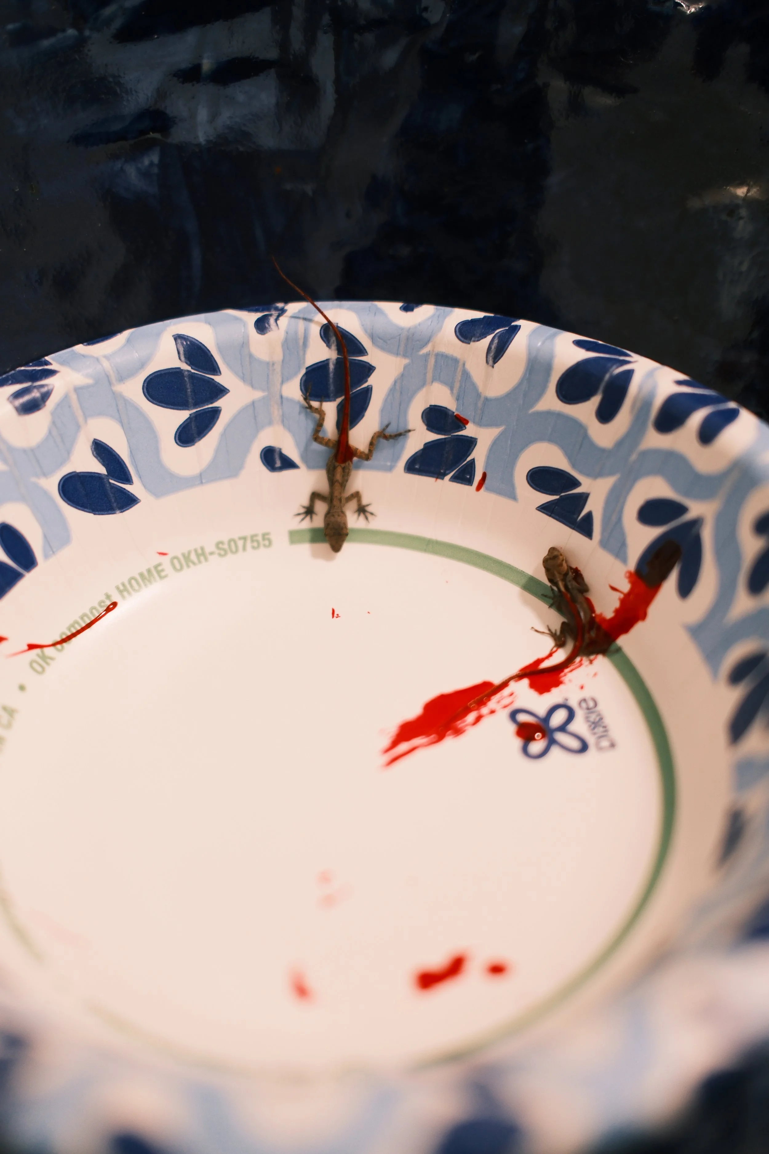 DSCF1627.JPG
