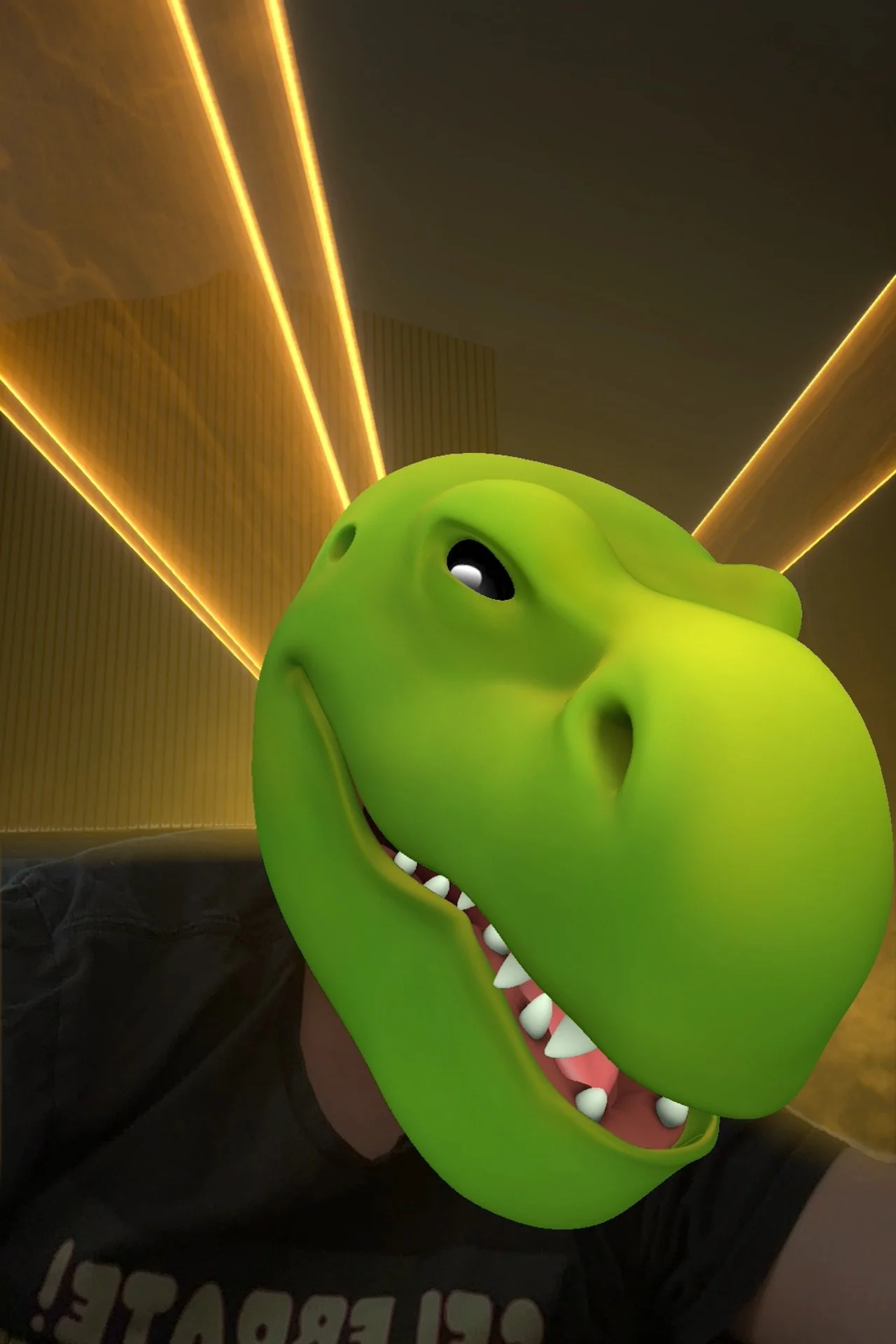 lp_image.jpeg