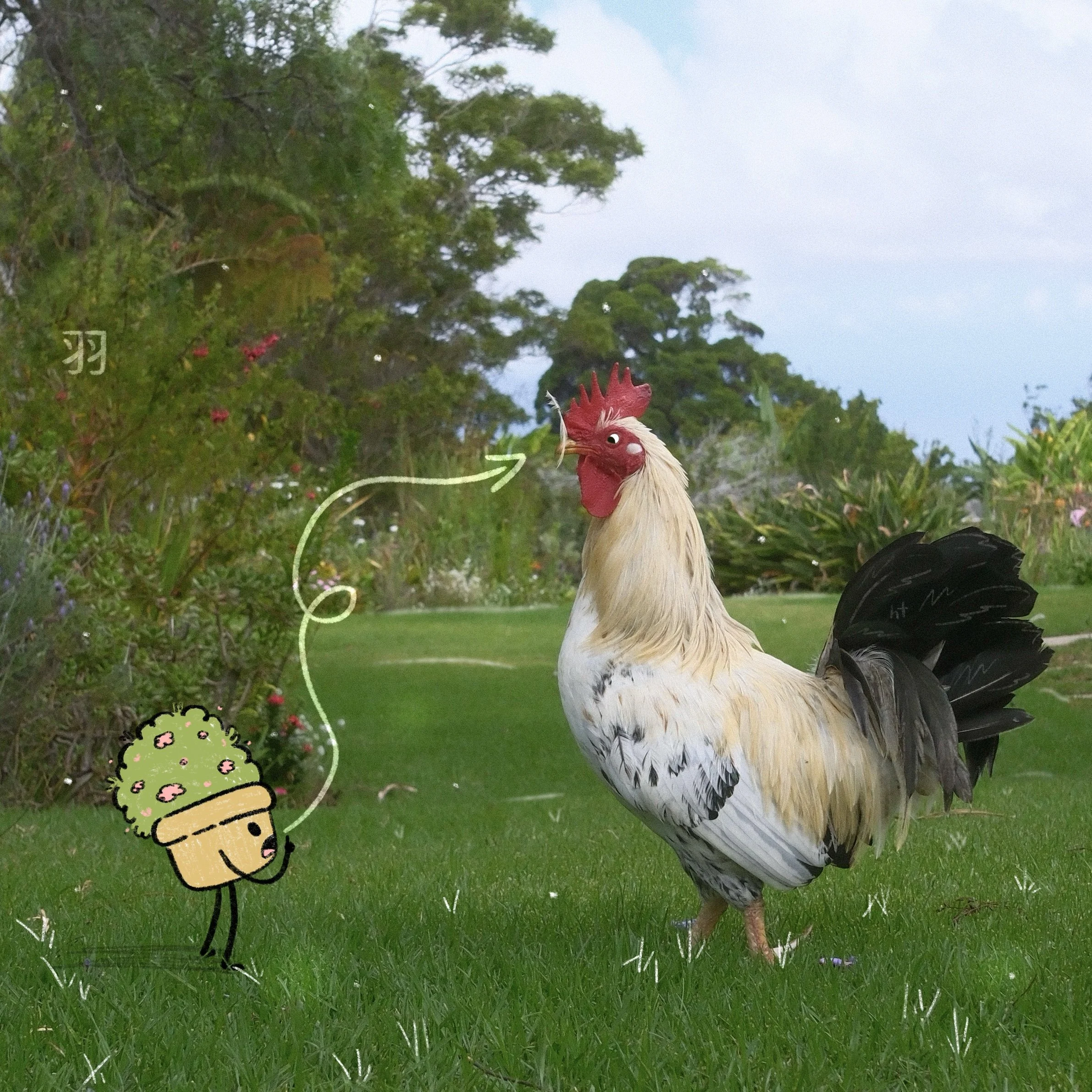 DSCF9357.jpg