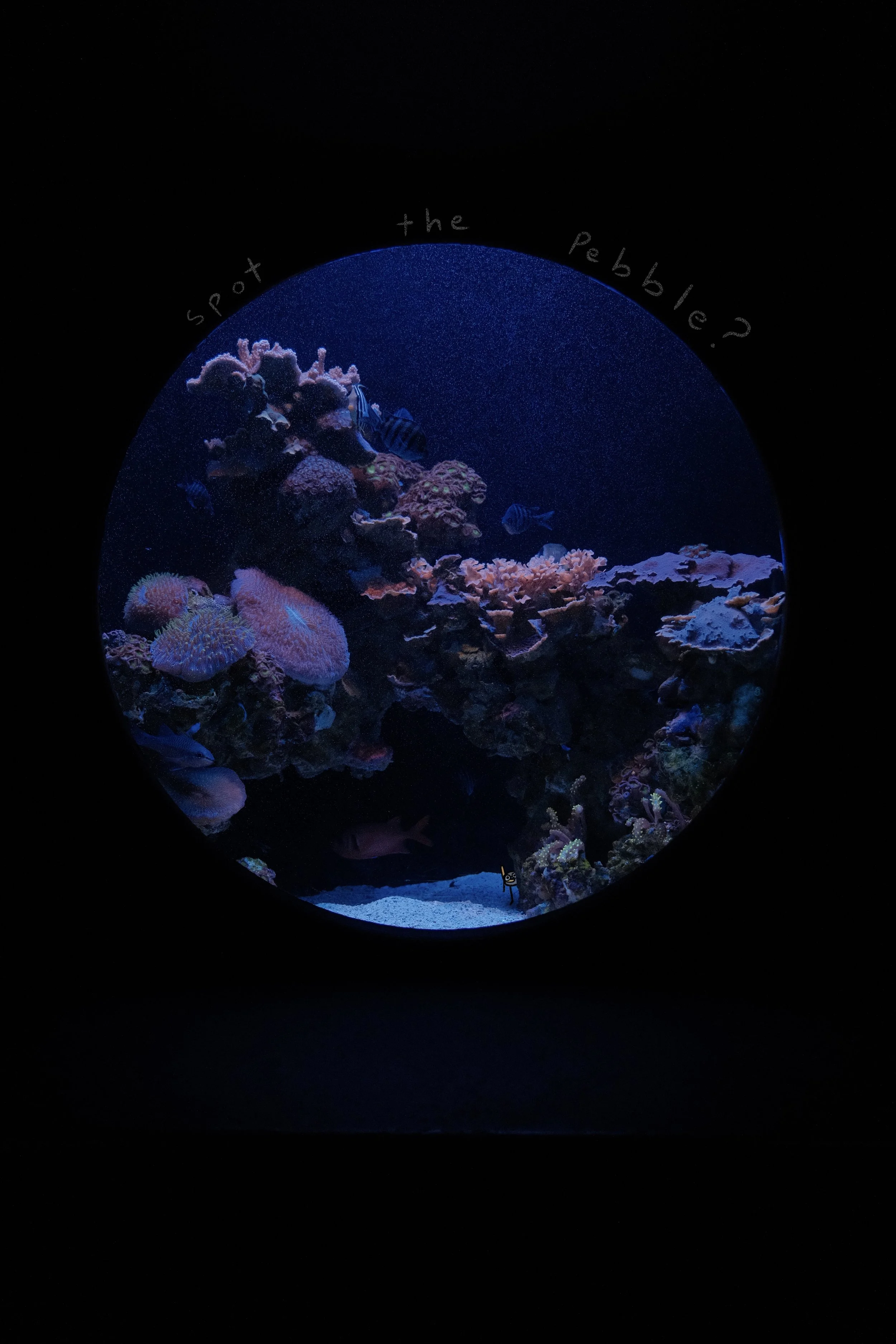 DSCF1865.jpg