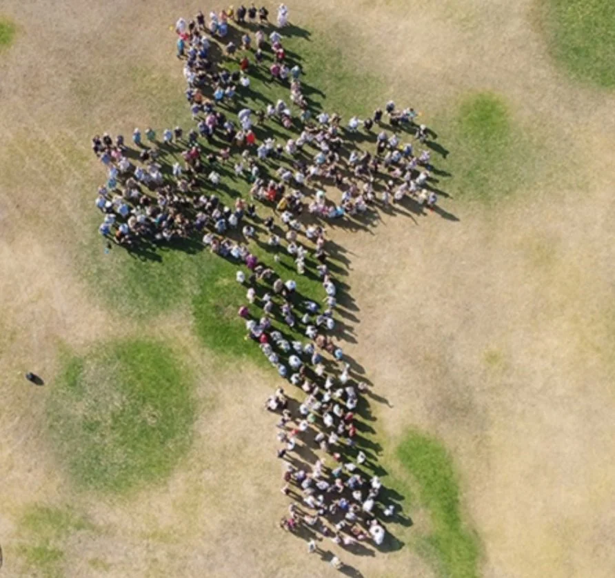 An aerial view of a large group of people forming the shape of a plant on a grassy field.