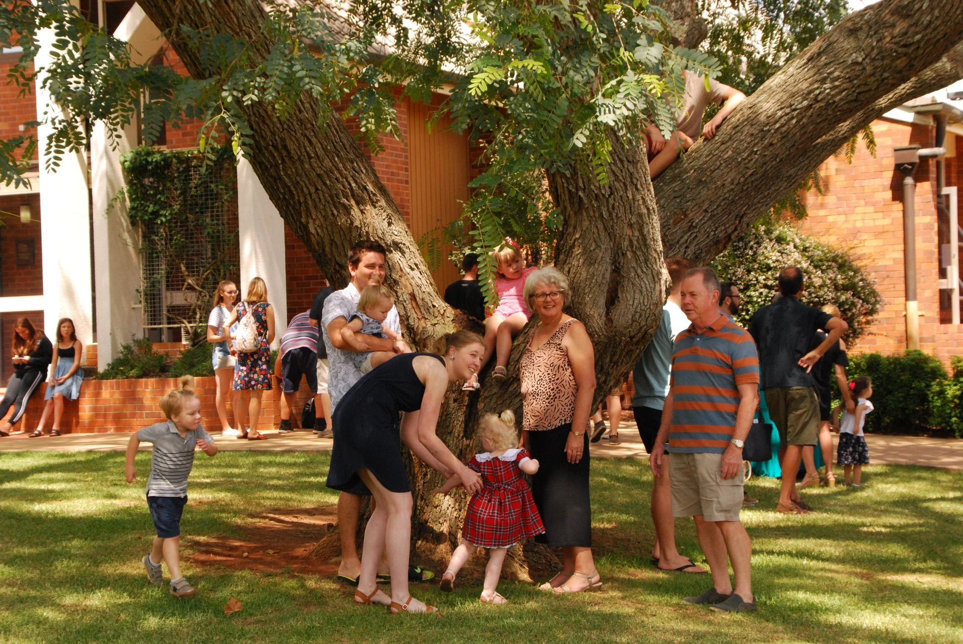 A large group of people gathered around a tree in a yard with a brick building in the background. Some people are sitting, standing, or climbing in the tree, while others are walking or standing on the ground nearby.