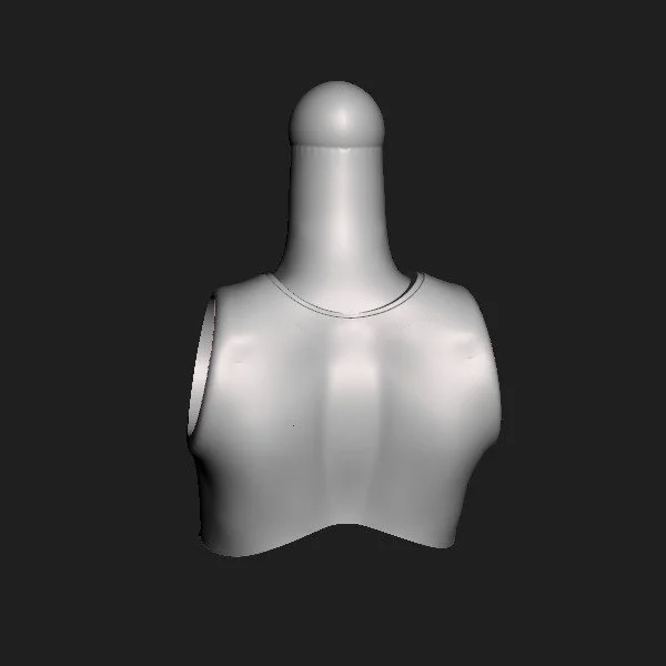 Torso 050.AS [001].jpg