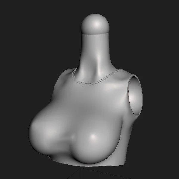 Torso 050.CW  [003].jpg