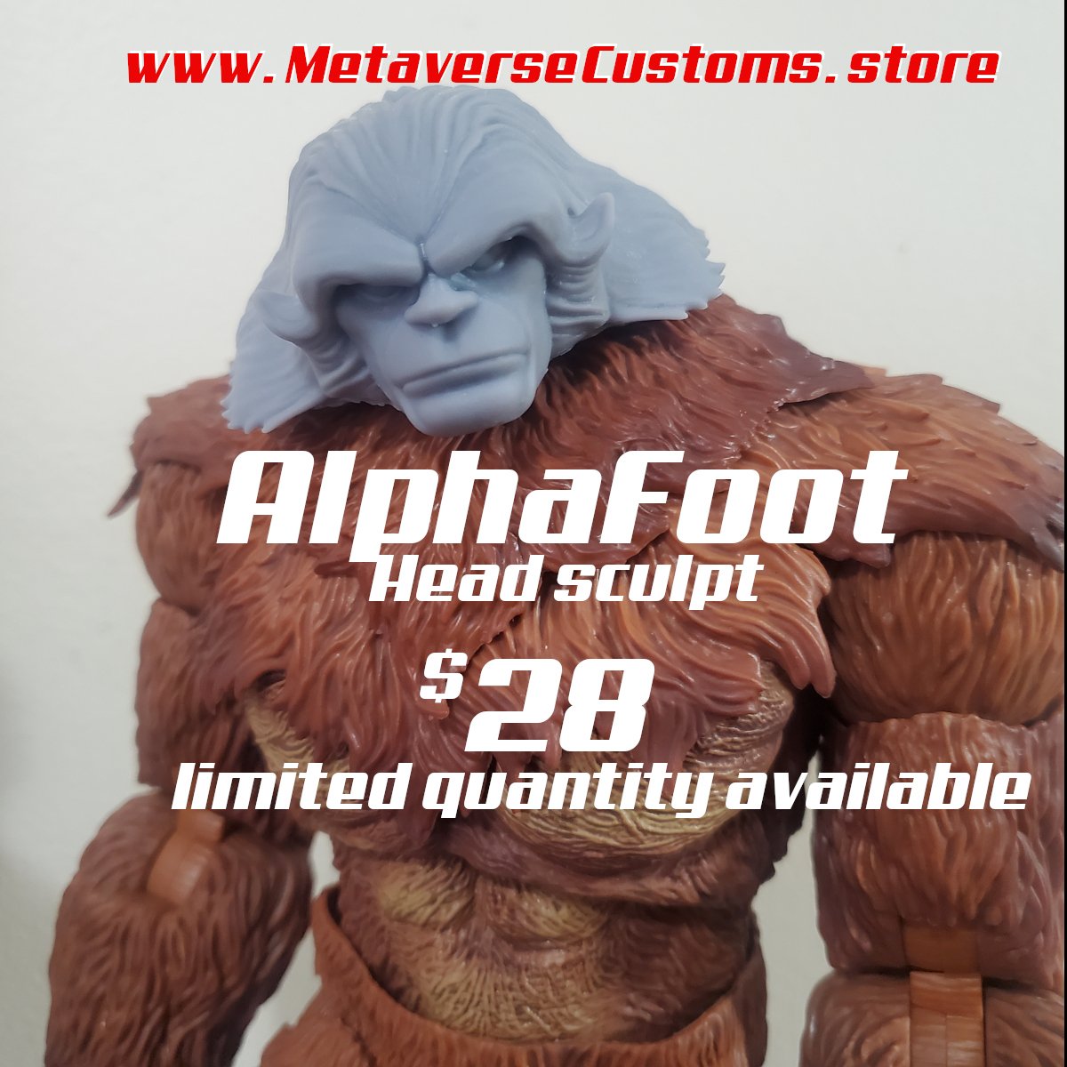 ALPHAFOOT.jpg