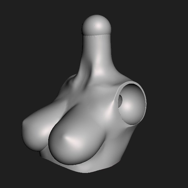 Torso 003x [C+] [003].jpg