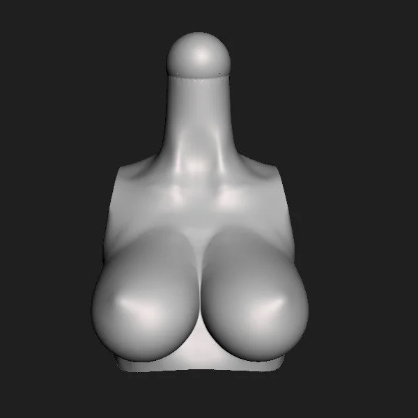 Torso 003x [C+] [001].jpg