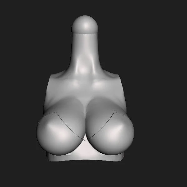 Torso 120 canarytop [001].jpg