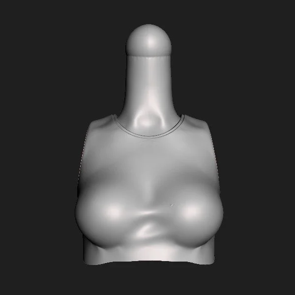 Torso 050.AW [000].jpg