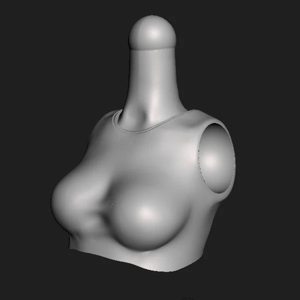 Torso 050.AW [002].jpg