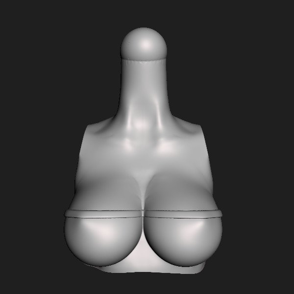 Torso 130 POPTOP [001].jpg