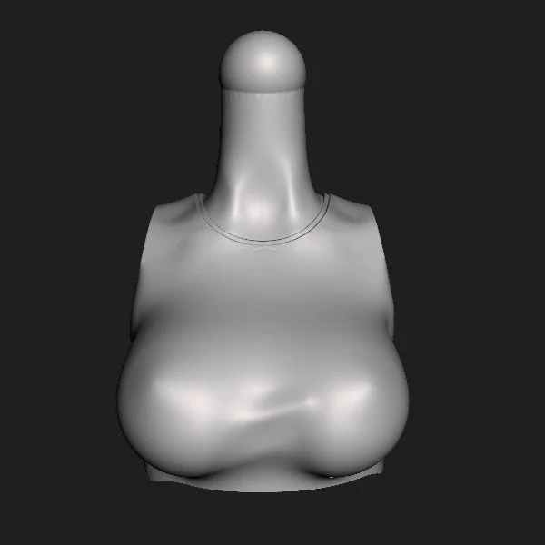 Torso 050.CW  [001].jpg