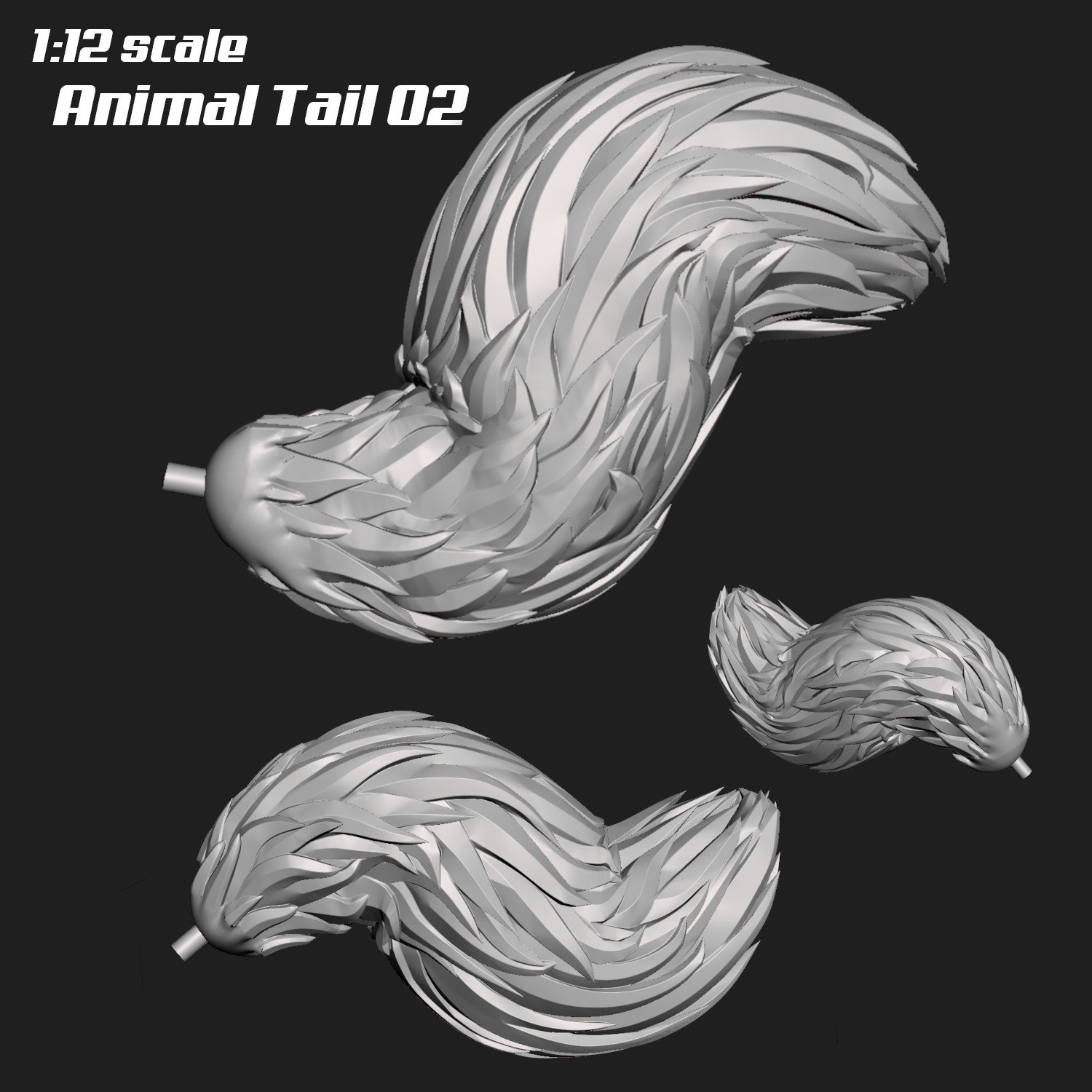 animal tail 02.jpg