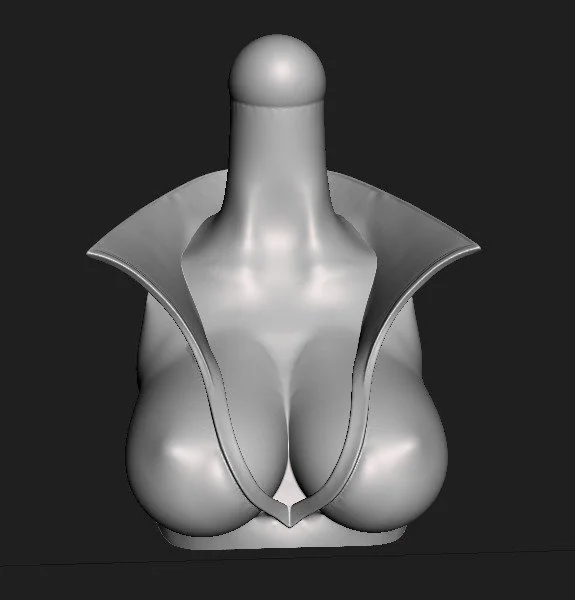 Torso 224 vixen [001].jpg