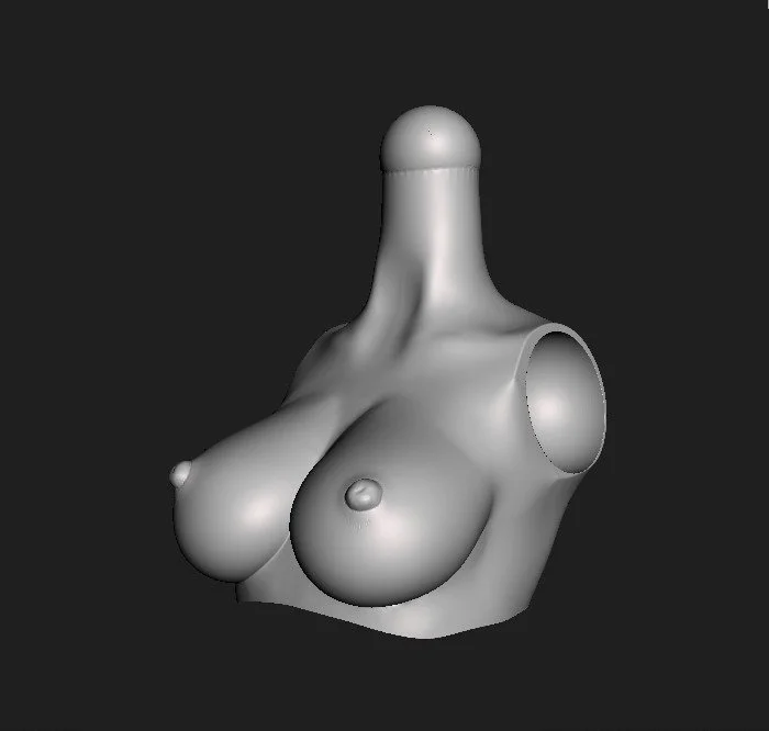 Torso 003x [Cx] [002].jpg