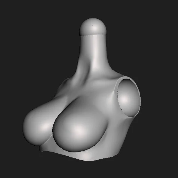 Torso 003 [C] [002].jpg