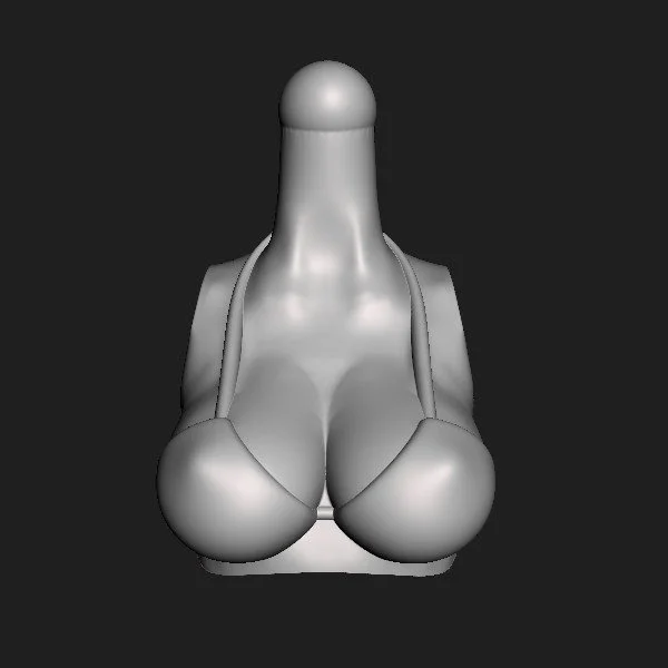 Torso 140 Bikini [001].jpg