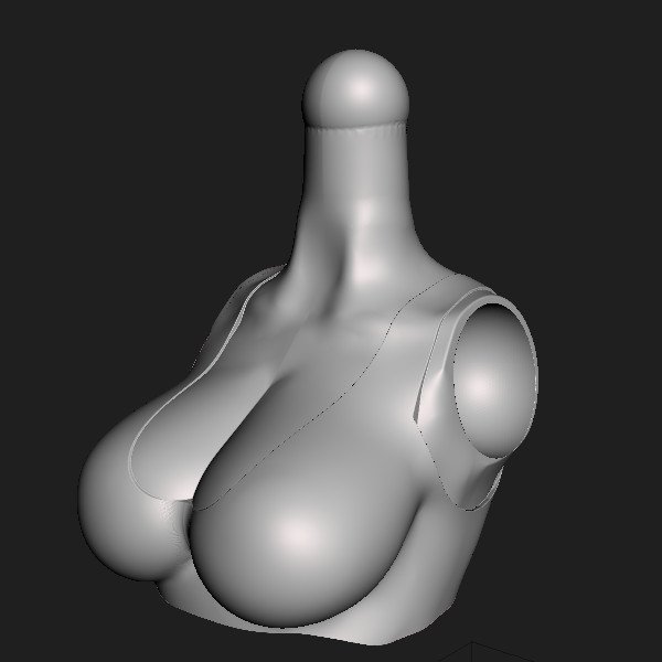 Torso 100 TankTop [002].jpg