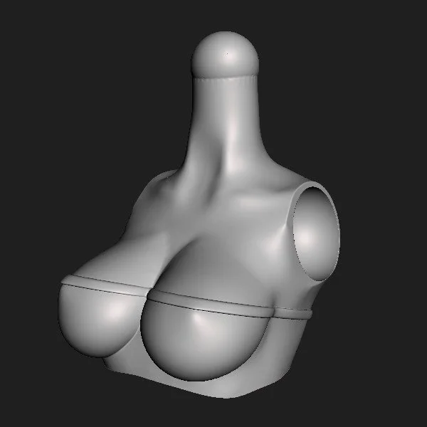 Torso 130 POPTOP [002].jpg