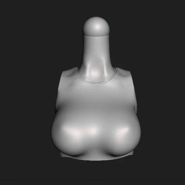 Torso 050.CS [001].jpg