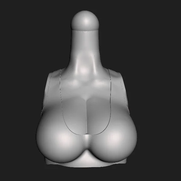 Torso 100 TankTop [001].jpg