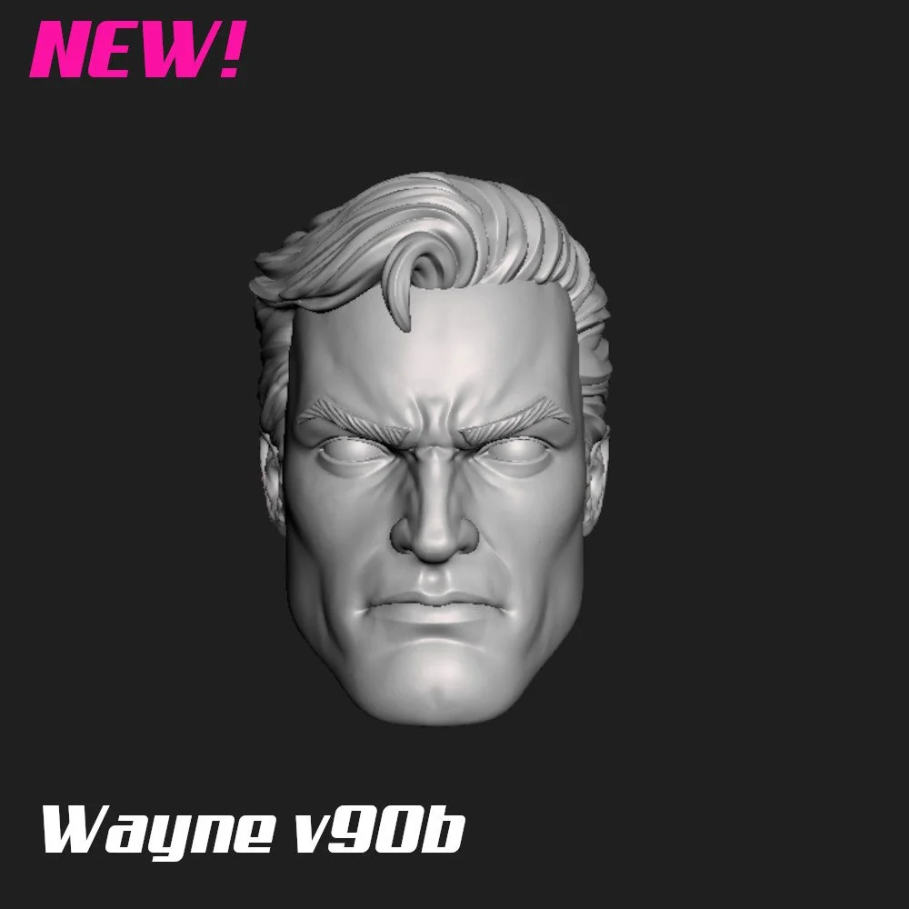 Wayne v90b