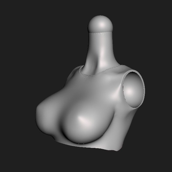 Torso 050.CS [000].jpg