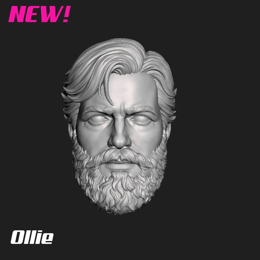 OLLIE.jpg