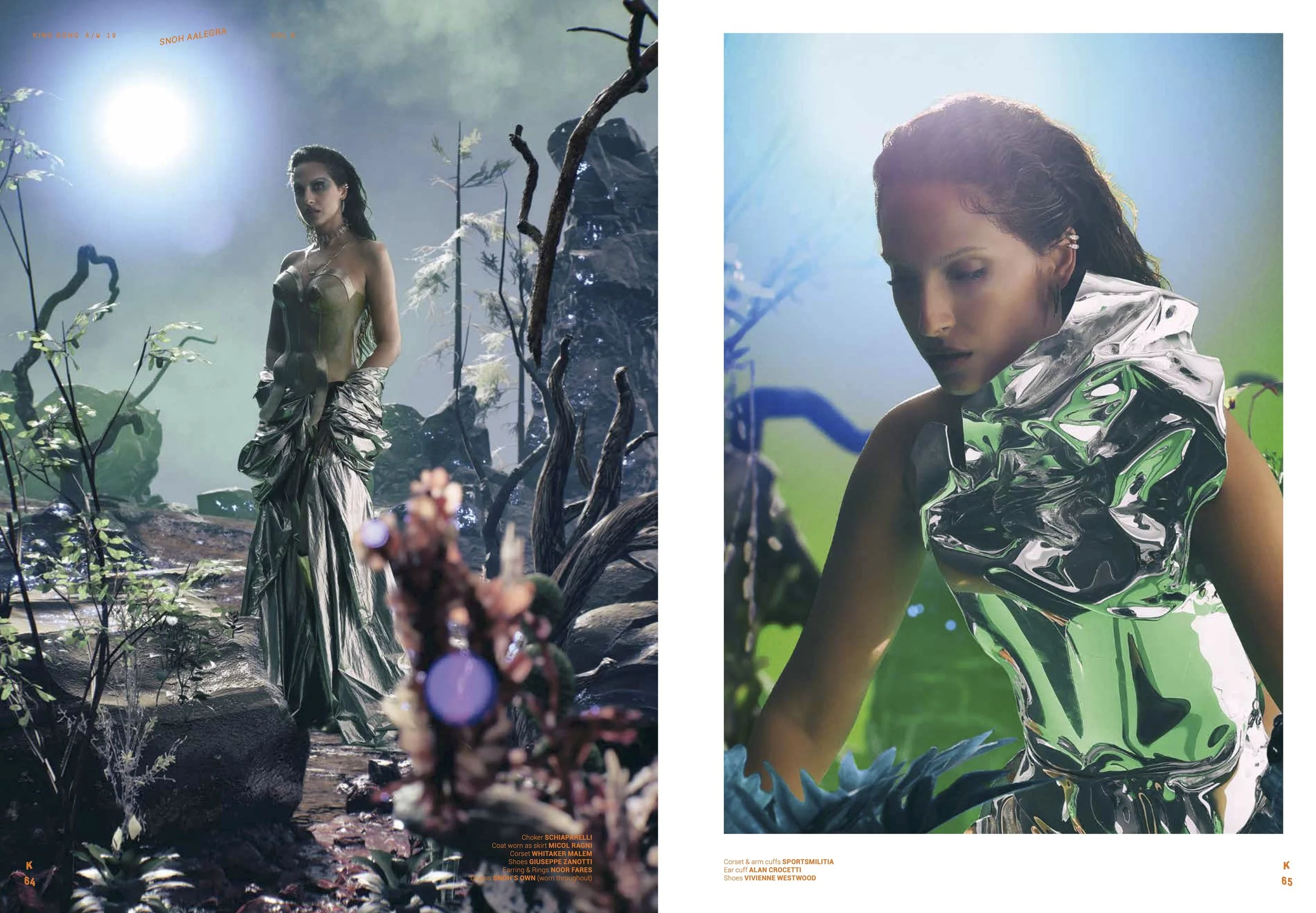 SNOHH AALEGRA PDF 2.jpg