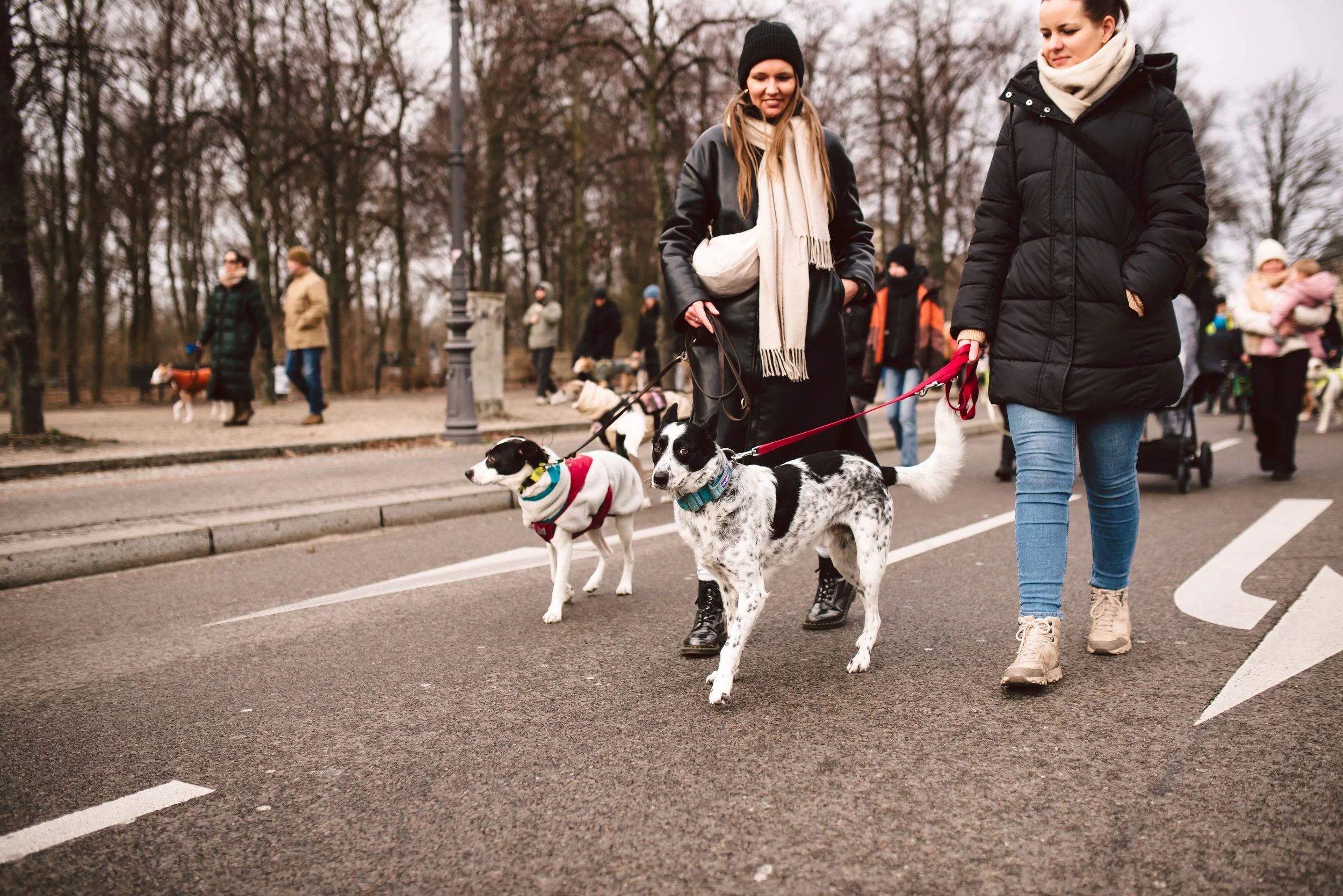 Berliner Galgomarsch 2025 ©Fotosally | www.fotosally.de