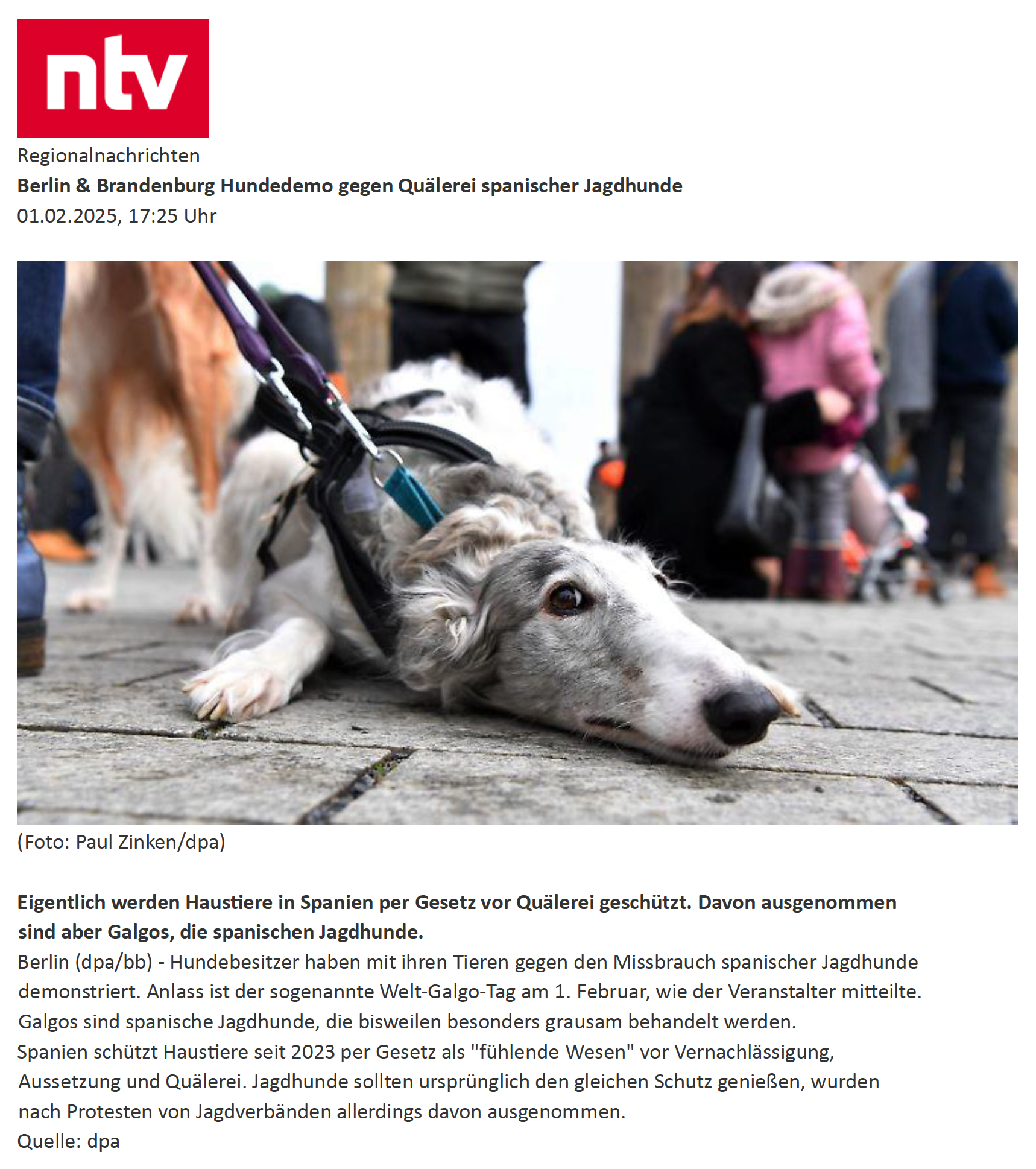 Online-Kurzbericht ntv