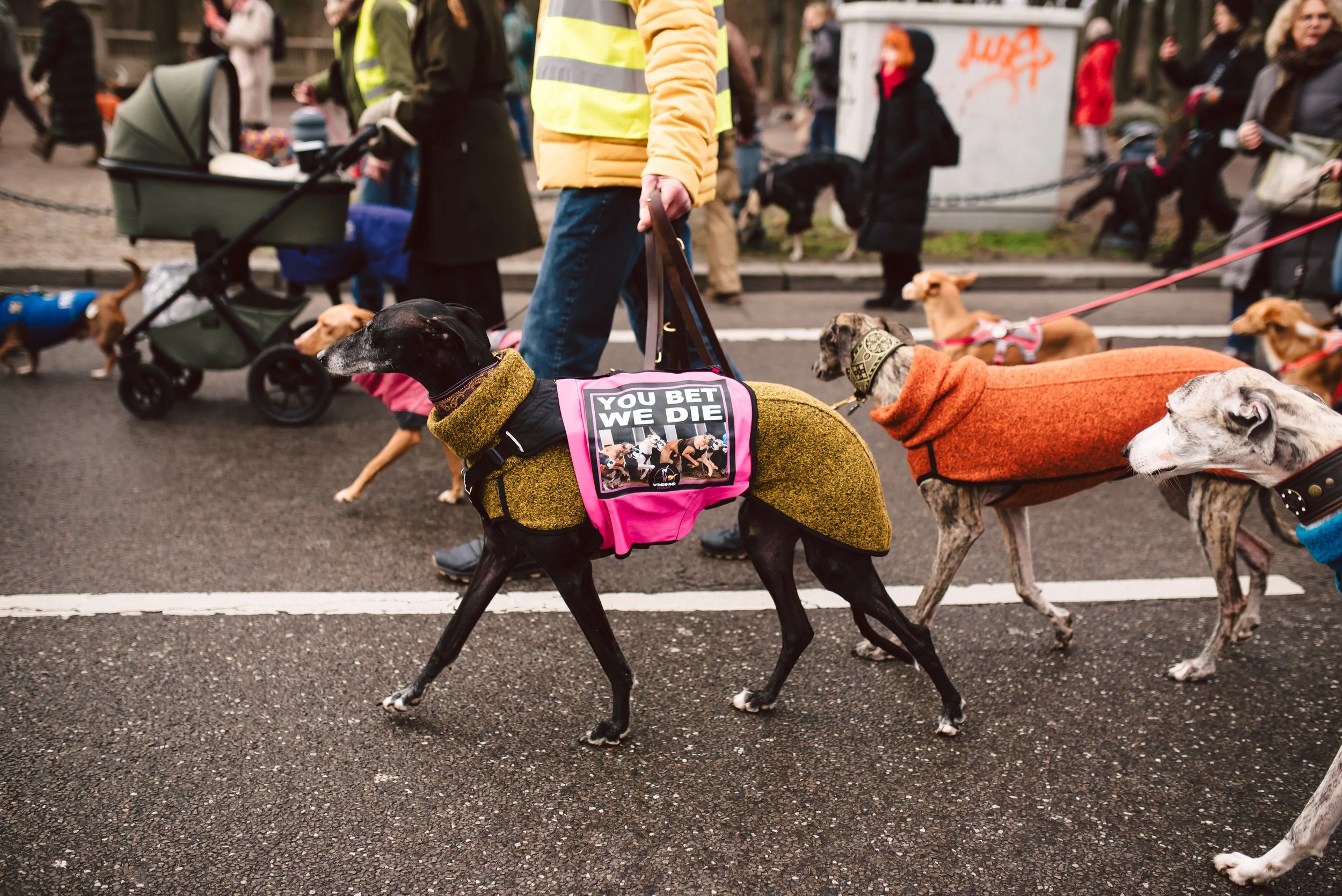 Berliner Galgomarsch 2025 ©Fotosally | www.fotosally.de