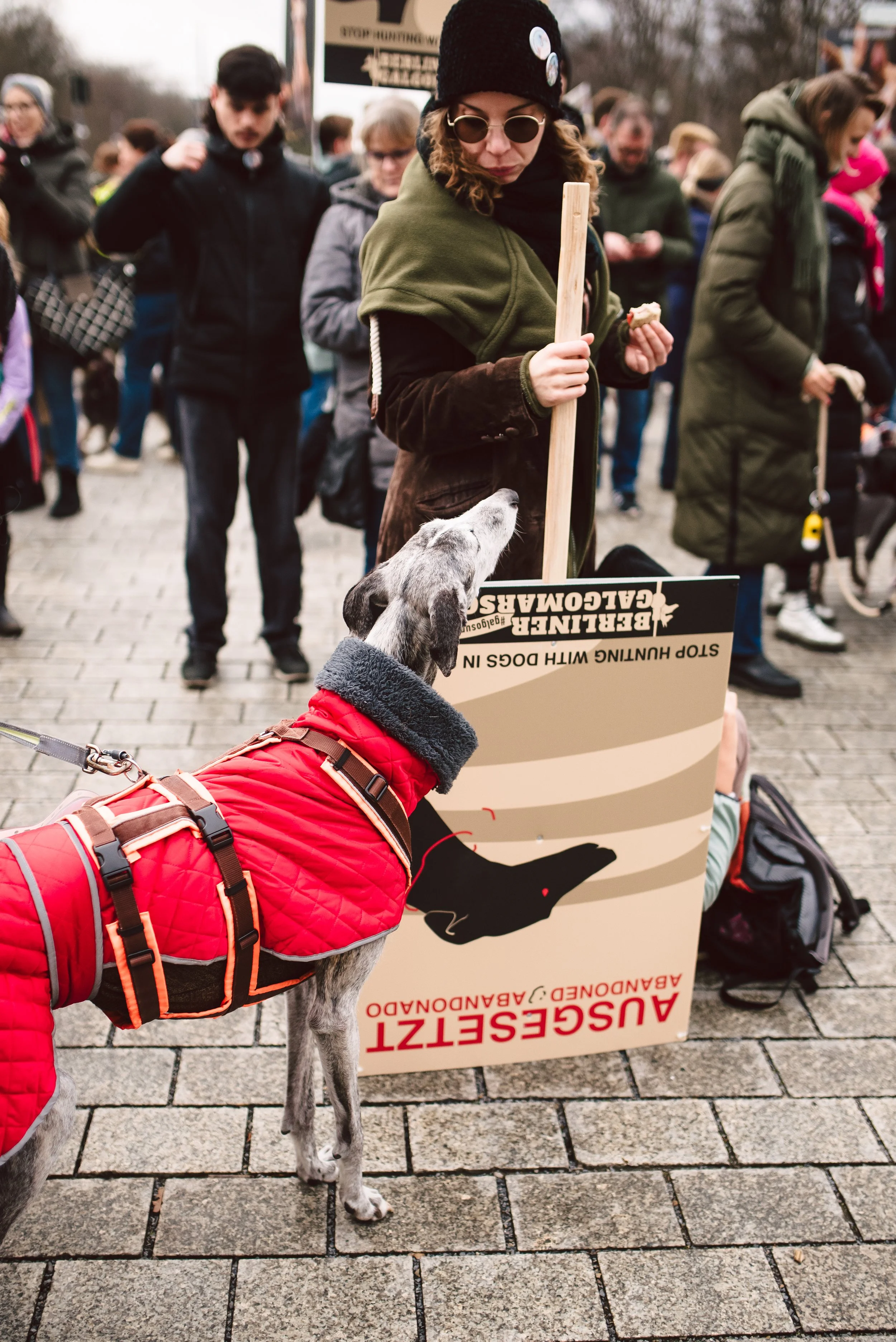 Berliner Galgomarsch 2025 ©Fotosally | www.fotosally.de