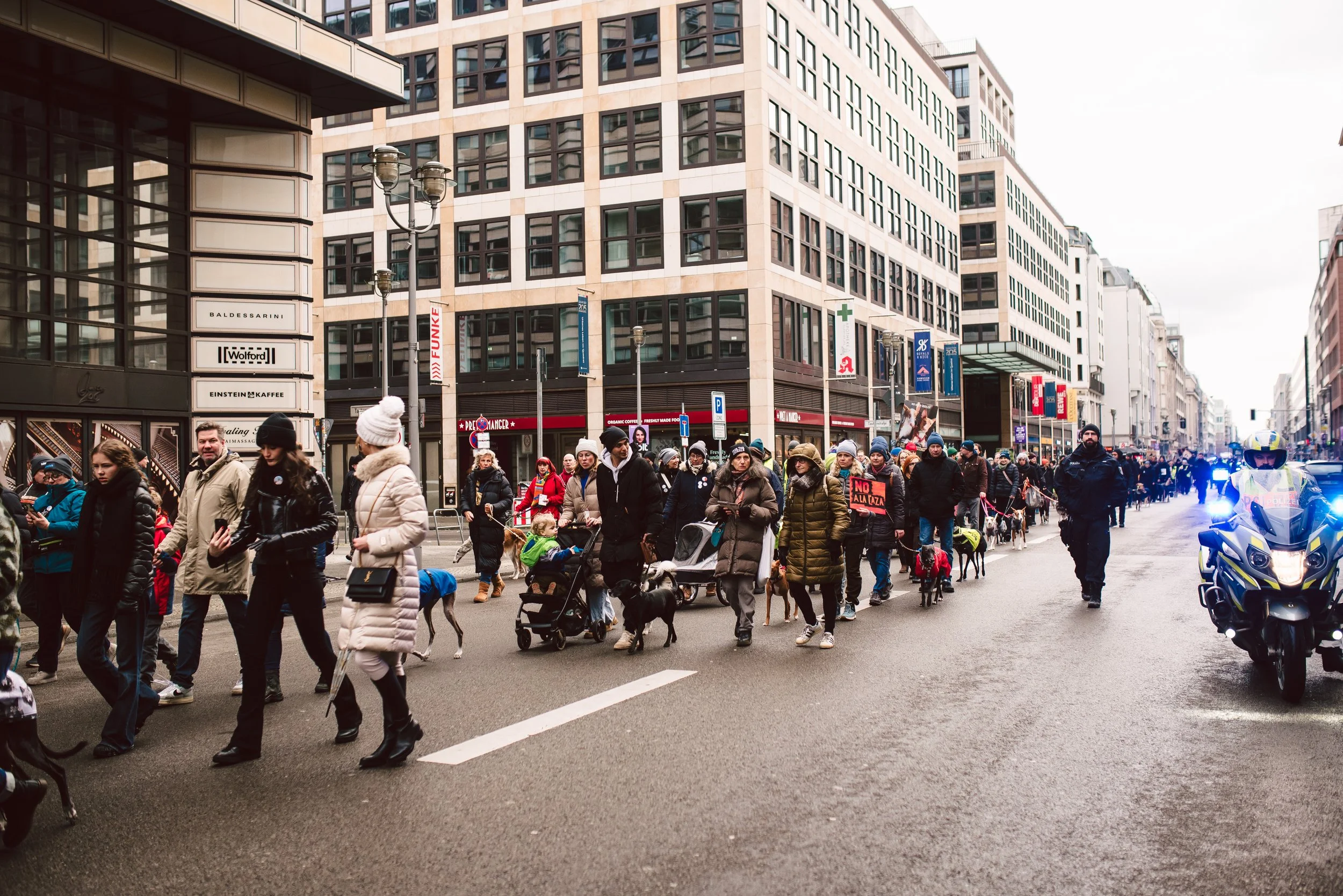 Berliner Galgomarsch 2025 ©Fotosally | www.fotosally.de