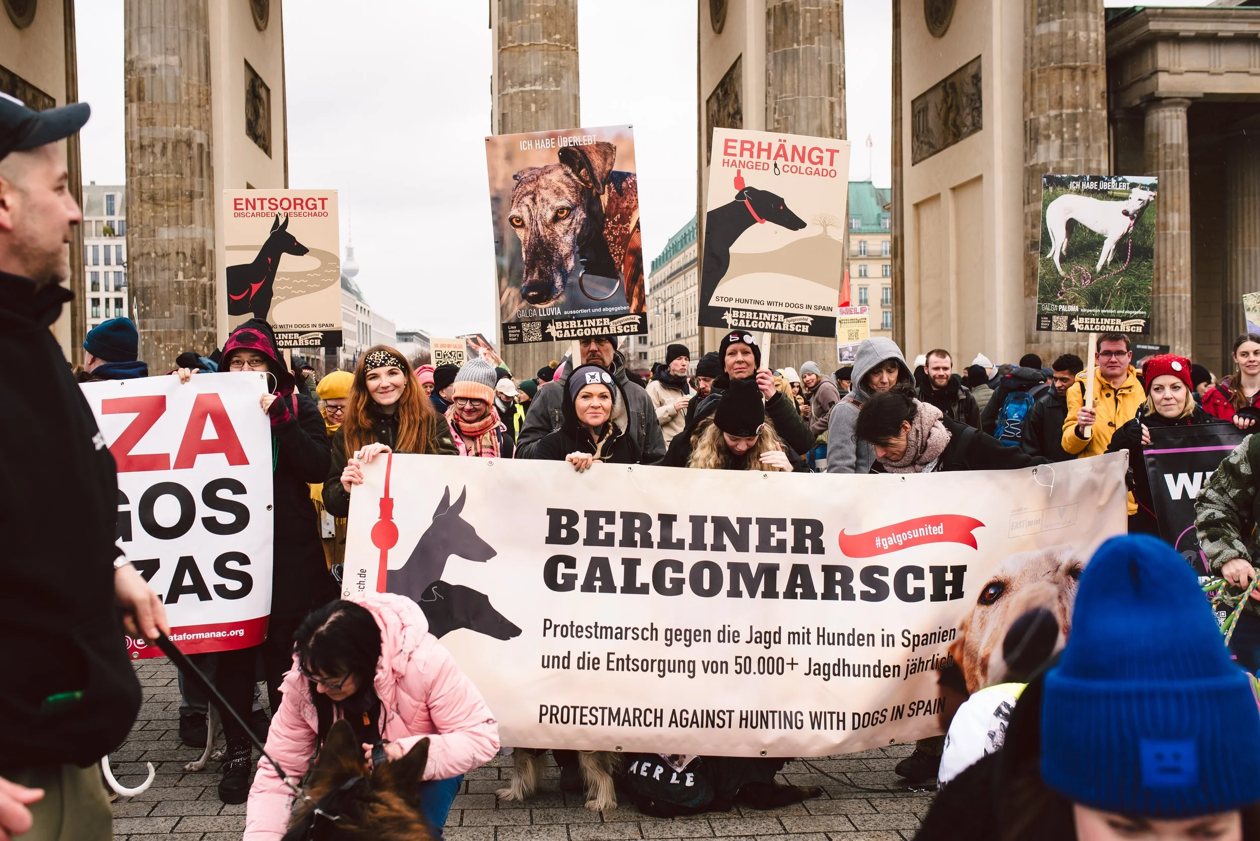 Berliner Galgomarsch 2025 ©Fotosally | www.fotosally.de