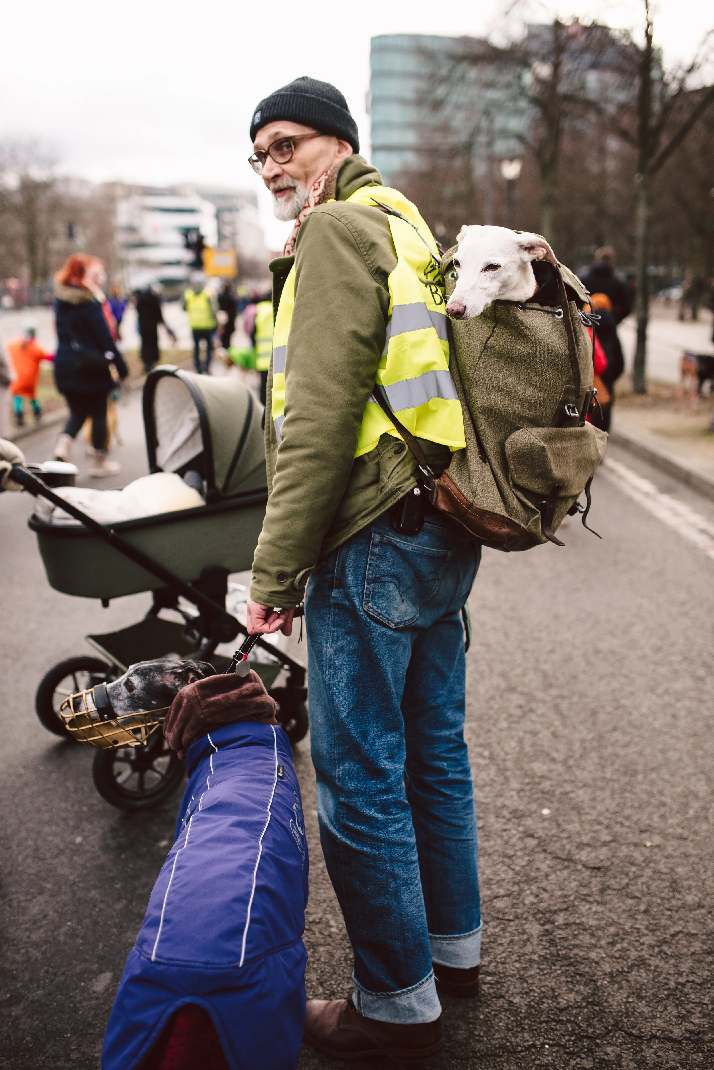 Berliner Galgomarsch 2025 ©Fotosally | www.fotosally.de