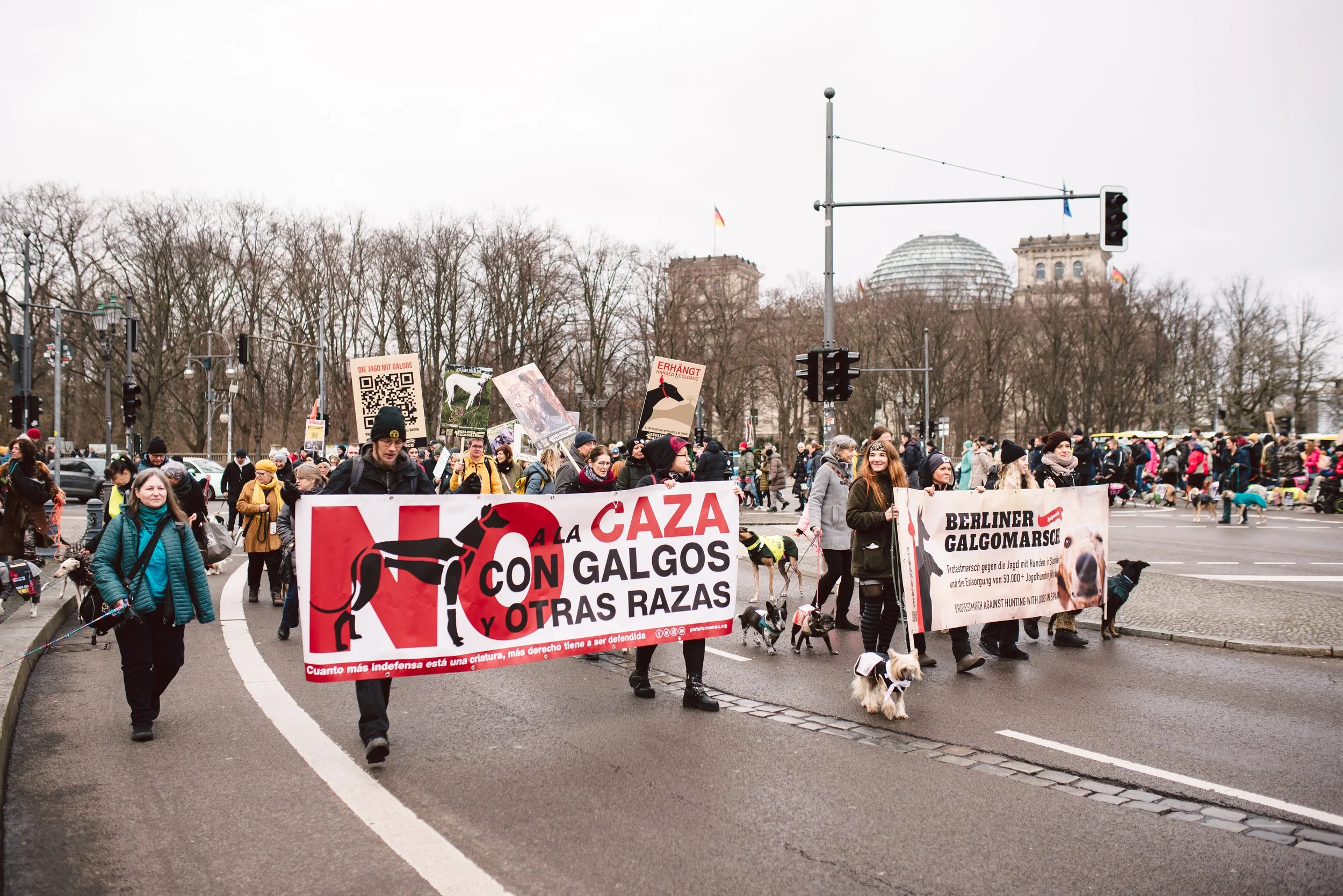 Berliner Galgomarsch 2025 ©Fotosally | www.fotosally.de