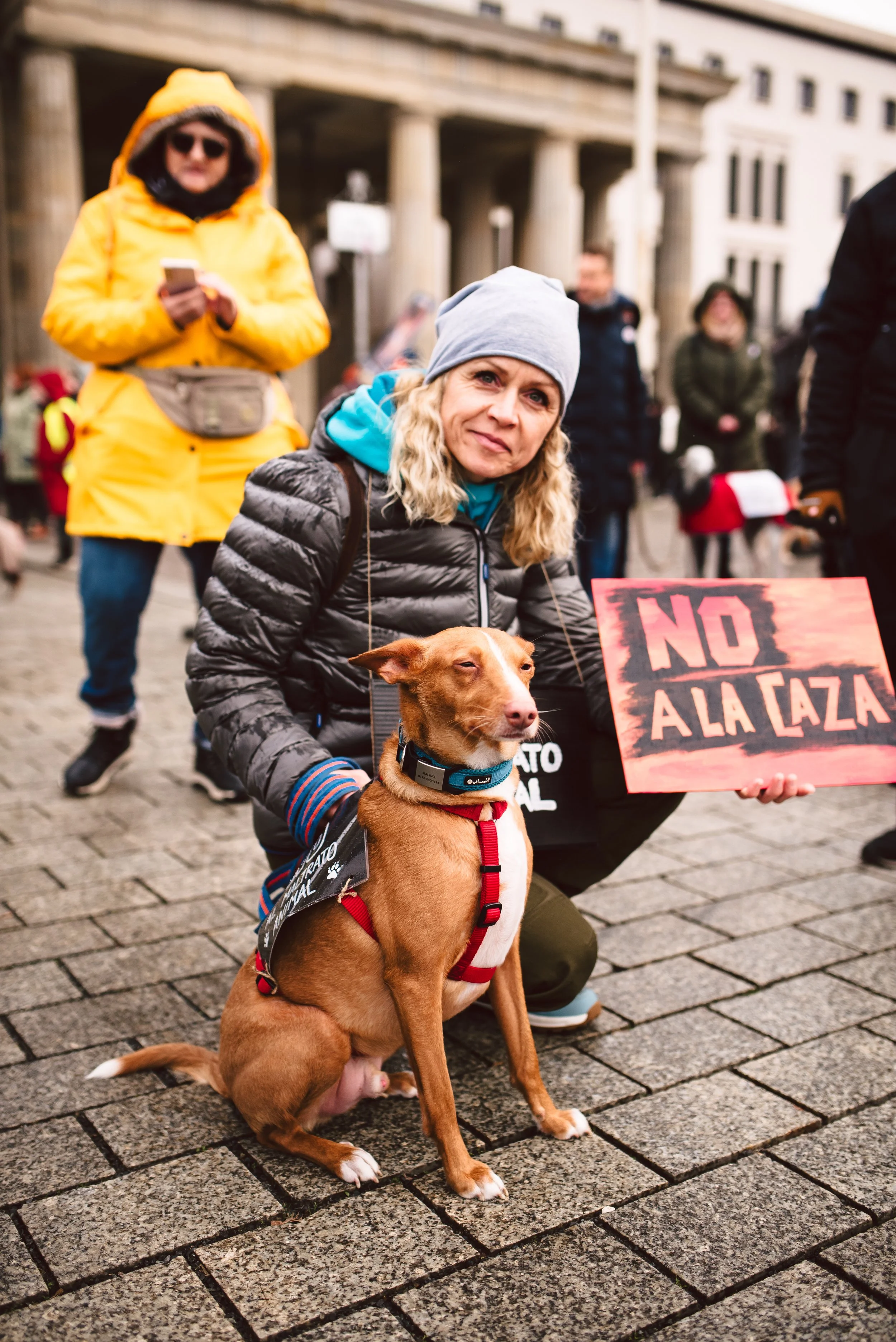Berliner Galgomarsch 2025 ©Fotosally | www.fotosally.de